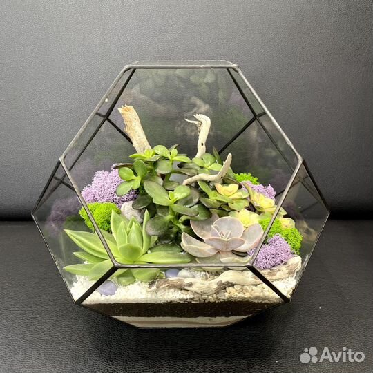 Флорариум 