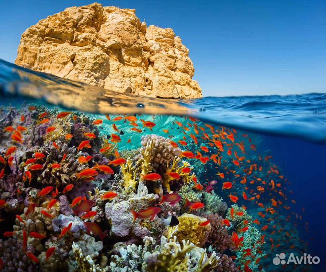 Туры в Египет - из Сочи