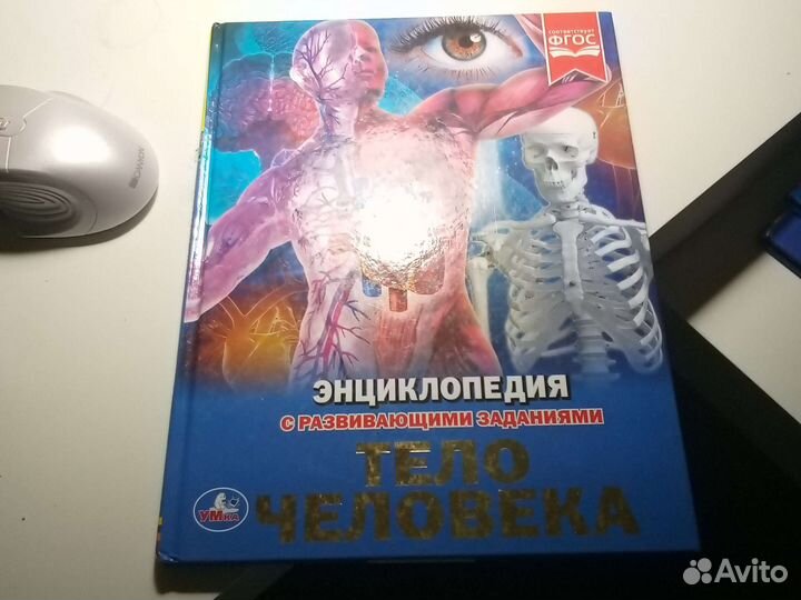 Энциклопедия тело человека