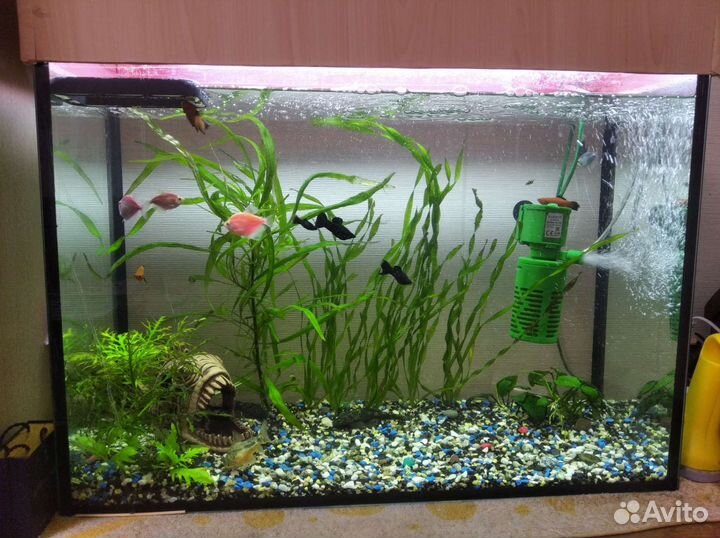 Аквариум