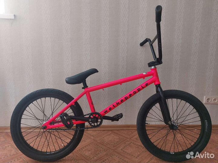 Wethepeople nova 2019