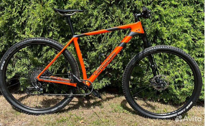 Santa cruz / scott scale 2023 / cannondale F-Si