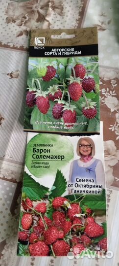 Земляника садовая