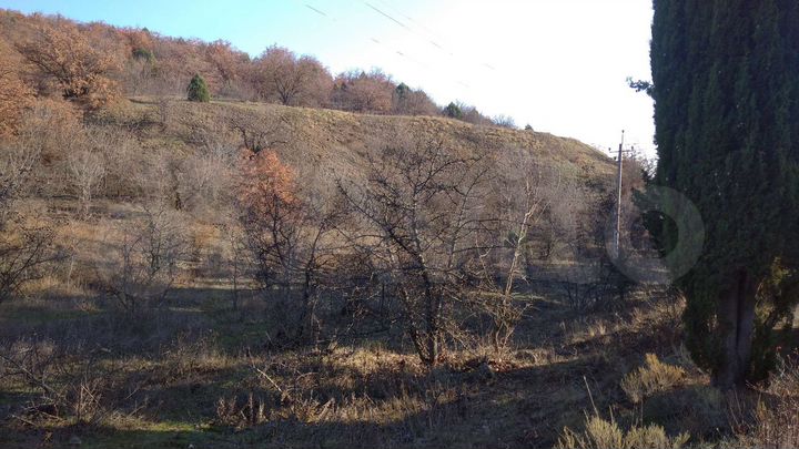 Участок 10 сот. (СНТ, ДНП)