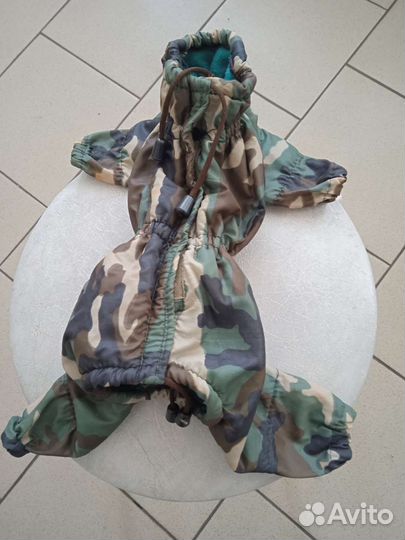 Одежда для маленьких пород собак