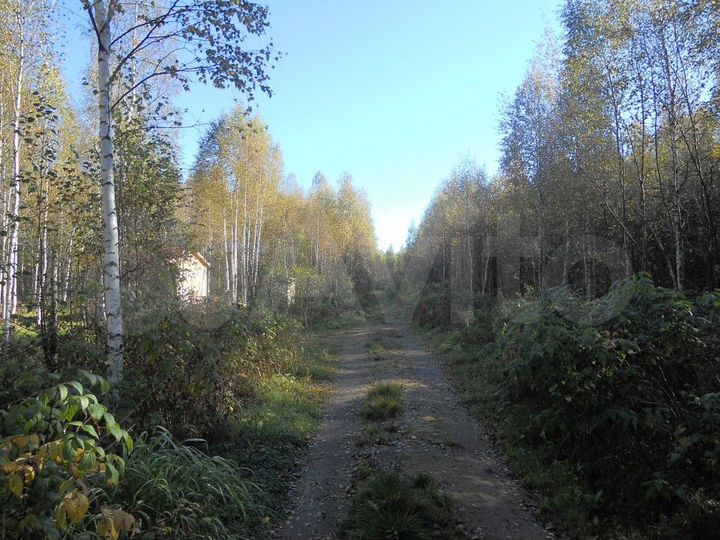 Участок 11 сот. (ИЖС)