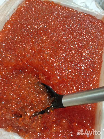 Икра красная кета, Охотск