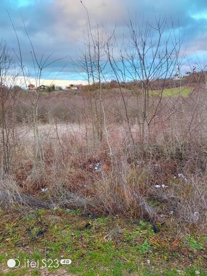 Участок 14,5 сот. (ИЖС)