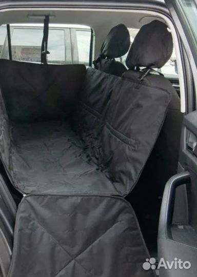 Перевозка домашних животных / больших собак/ зоота