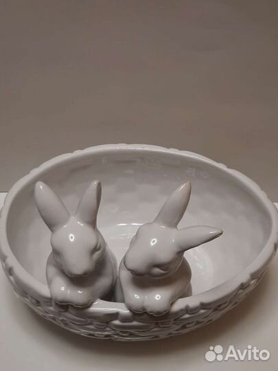 Маслёнка кролики