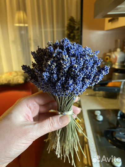 Букет лаванды