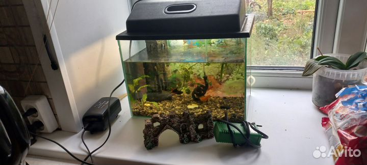 Аквариум