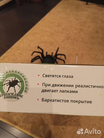 Паук на пульте управления