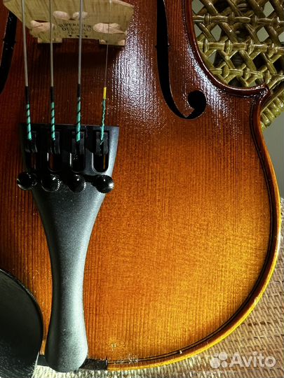 Аренда скрипки 3/4