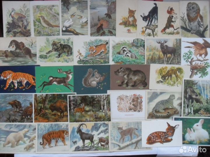 Звери, птицы, Исаков, Гамбургер, Чарушин, Ватагин