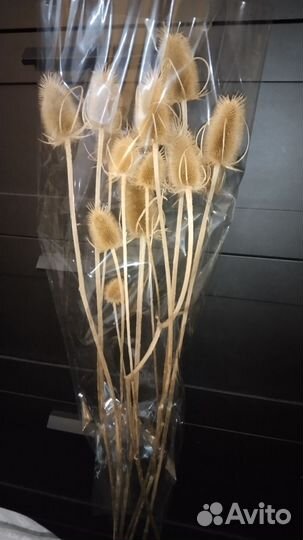 Сухоцветы.Интерьерный букет