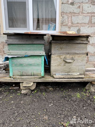 Ульи для пчел