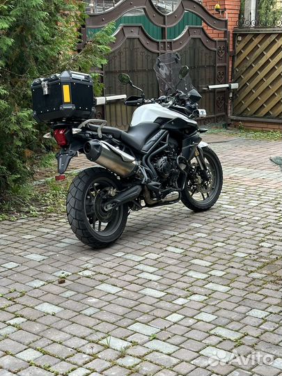 Triumph tiger 800
