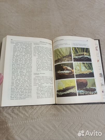 Книги по аквариумистике