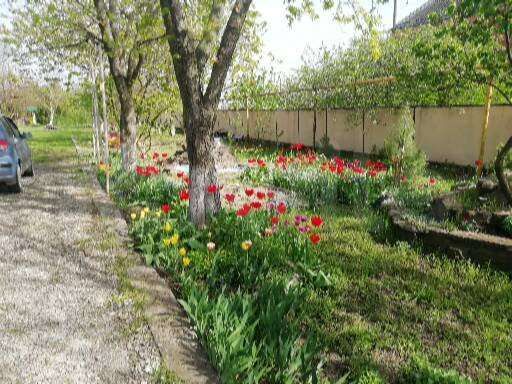 Дом 80 м² на участке 20 сот.