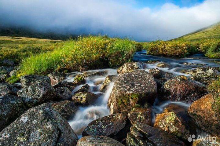 Трансфер по Горному Алтаю, Туры Республике Алтай