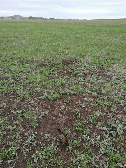 Участок 6 сот. (ИЖС)