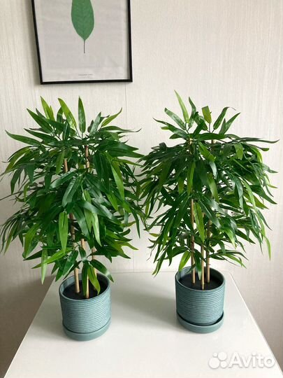 Искусственные цветы деревья бамбук