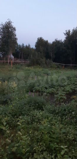 Участок 5 сот. (СНТ, ДНП)