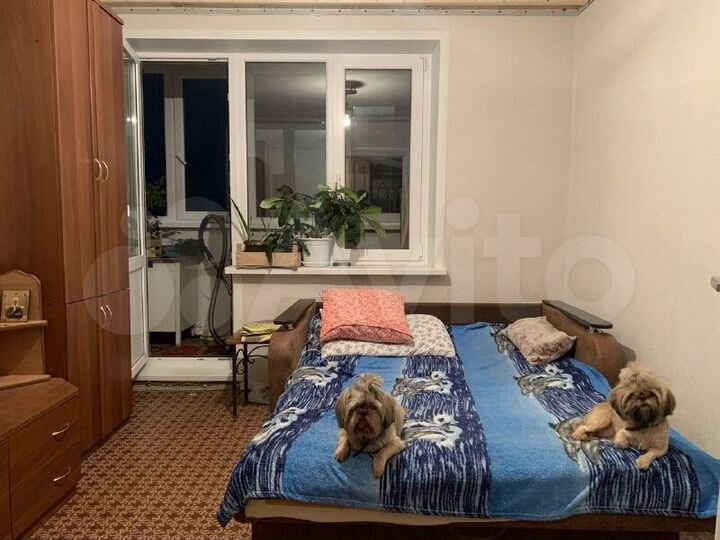 2-к. квартира, 43 м², 4/5 эт.