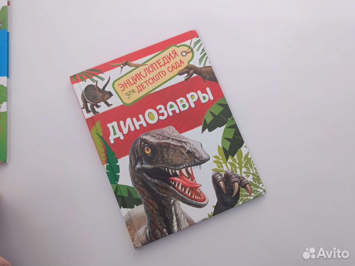 Книги серии энциклопедия для детского сада 5 шт