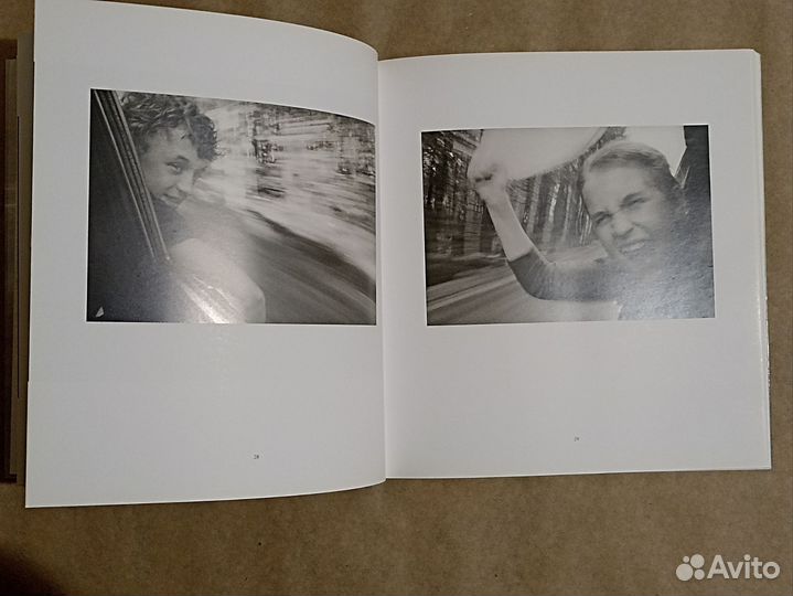 Возвращение, Владимир Мишуков