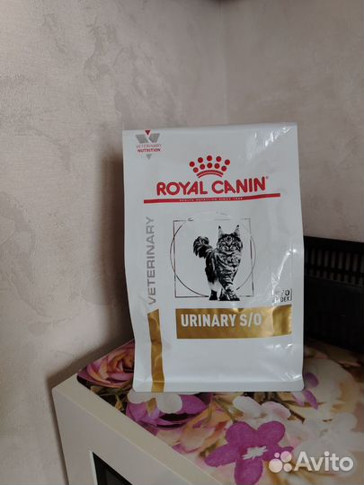 Корм для кошек royal canin