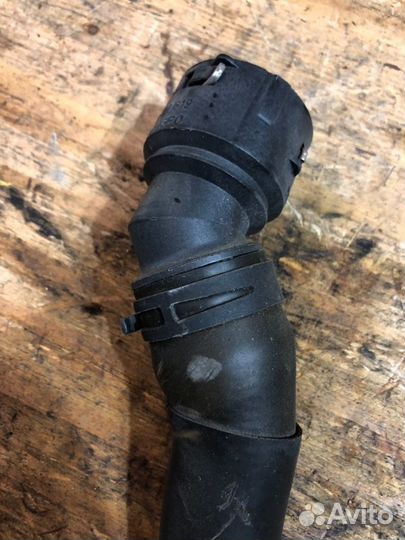 Патрубок радиатора Volkswagen Passat 3C5 BVY