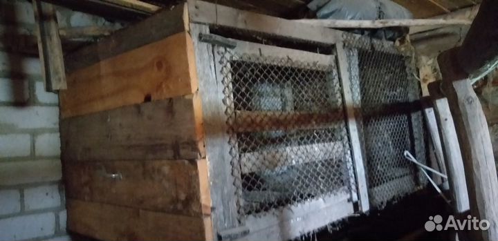 Кроличья сетка