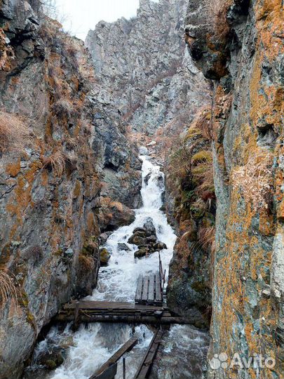 Туры и экскурсии в Горный Алтай