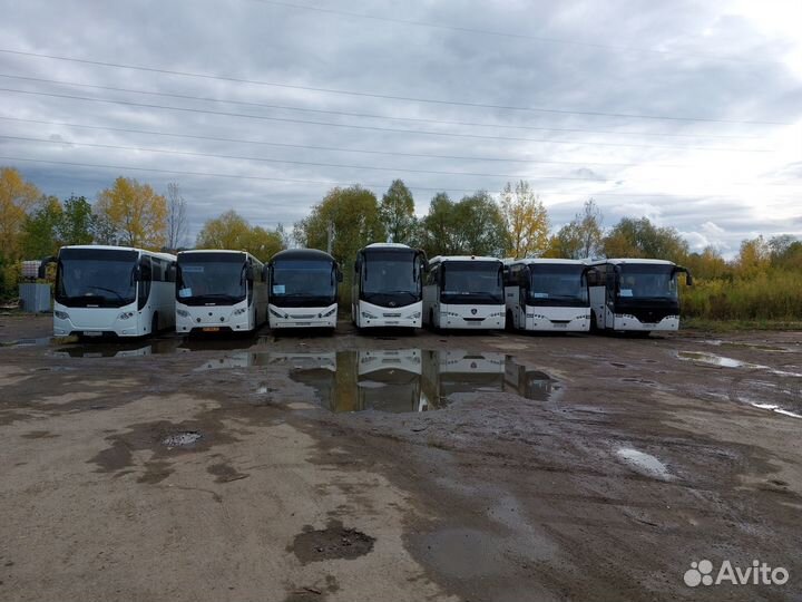 Водитель. Водитель Автобуса. Водитель категории D