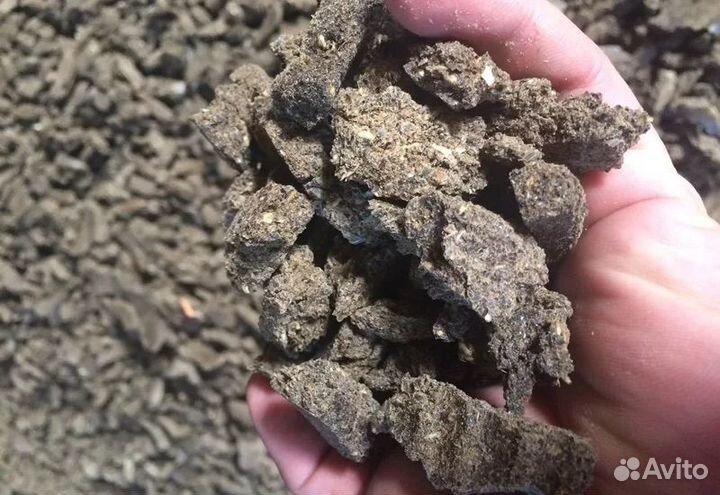 Жмых подсолнечный