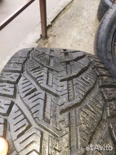 Tigar Winter 215/50 R17 95