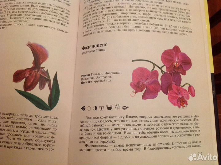 Полная энциклопедия комнатных растений