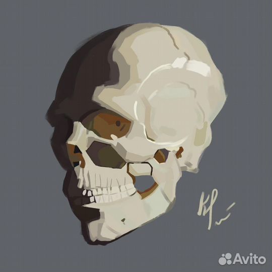 Графический планшет XPPen Star G640S