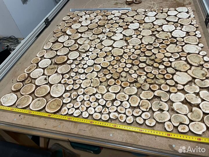 Спилы можжевельника Сибирского