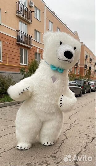 Белый медведь поздравление