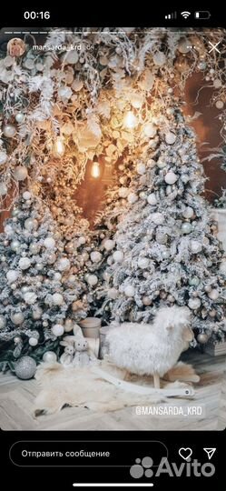 Профессиональная фотосессия