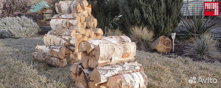 Дрова колотые из березы