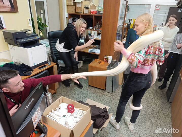 Аренда животных для фотосессии праздников