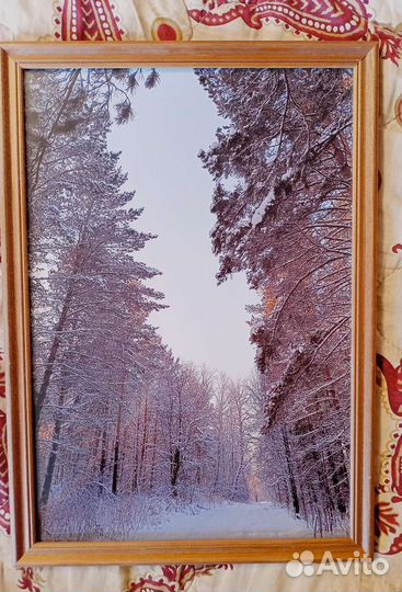 Фотокартина