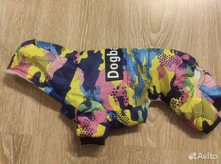 Одежда для собак