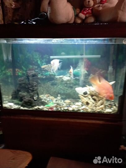 Украшение для аквариума