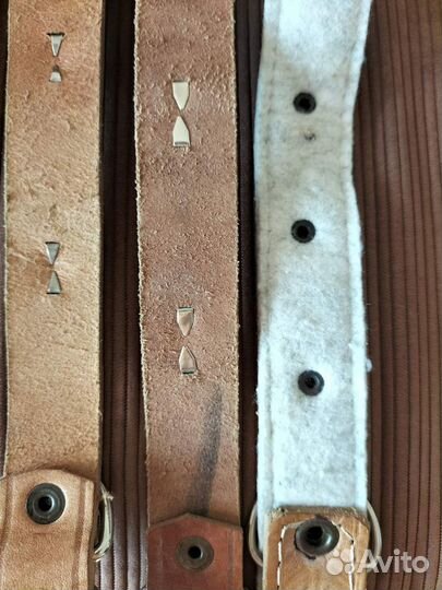 Ошейник для собак