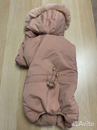 Вещи для собак